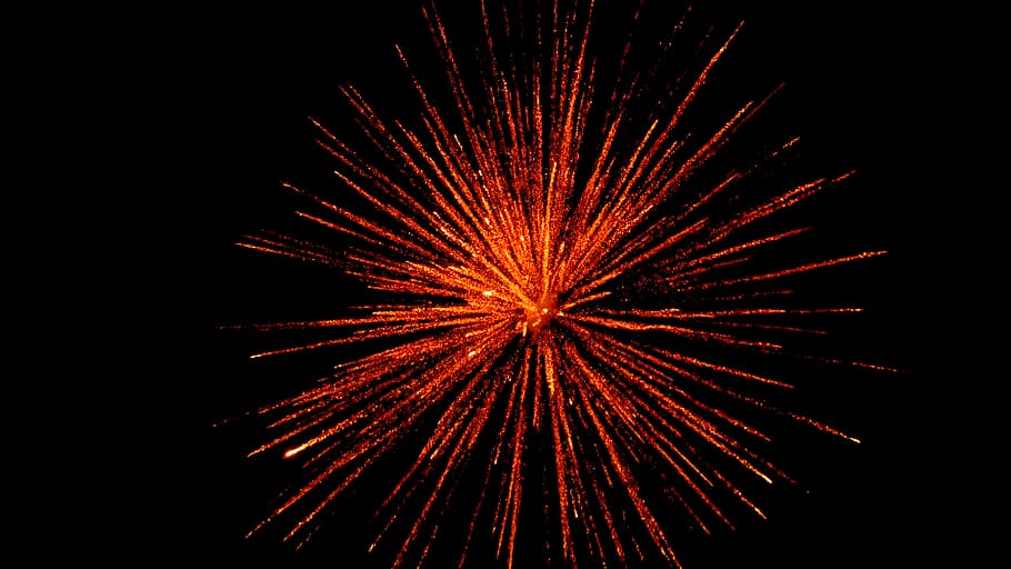 Festival Celebration